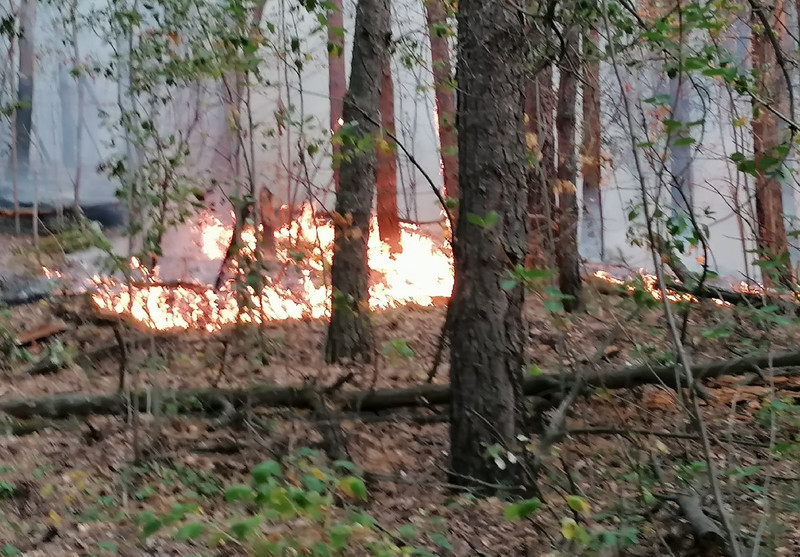 На окраине деревни в Каменске-Уральском снова разгорается пожар — огонь подошел вплотную к улицам. На месте дежурят спасатели, сбивают пламя