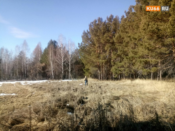 В Каменске-Уральском энтомологи обследуют лесопарковые зоны – в городе проснулись клещи. Говорят, уже появились первые «жертвы» насекомых...
