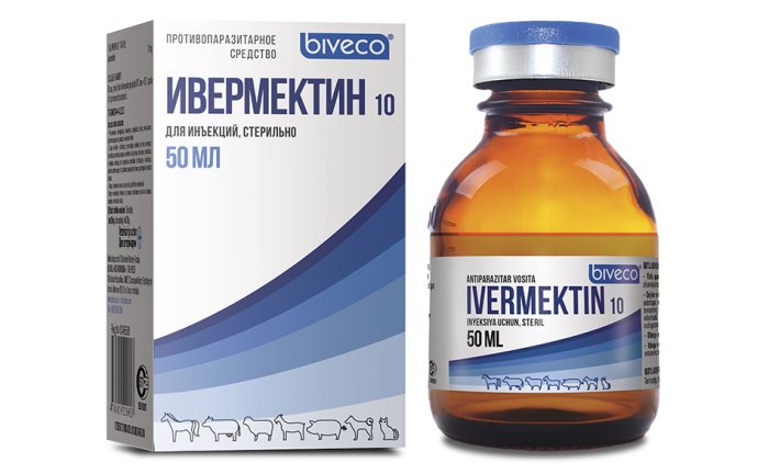 Найден препарат, подавляющий коронавирус за двое суток