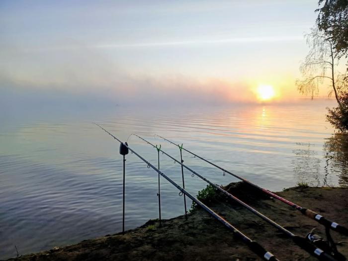 «Сам не понял, кого поймал»: свердловчанин наловил на Белоярке целую ванну рыбы | Свердловчанин наловил на Белоярке рыбы целую ванну и запутался в видах