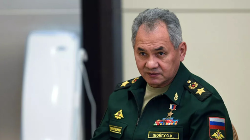 Шойгу сравнил главу Минобороны Германии со школьницей младших классов