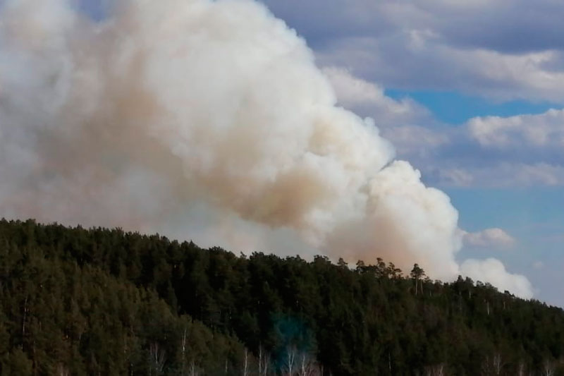 «Целый день все горит, пожарные с ног падают». Детей в Каменске-Уральском обвинили в поджогах травы, борются с которыми спасатели