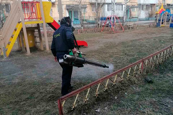 Дворы в Каменске-Уральском всю неделю обрабатывают от клещей. Коммунальщики рассказали, почему начинают работу в пять утра