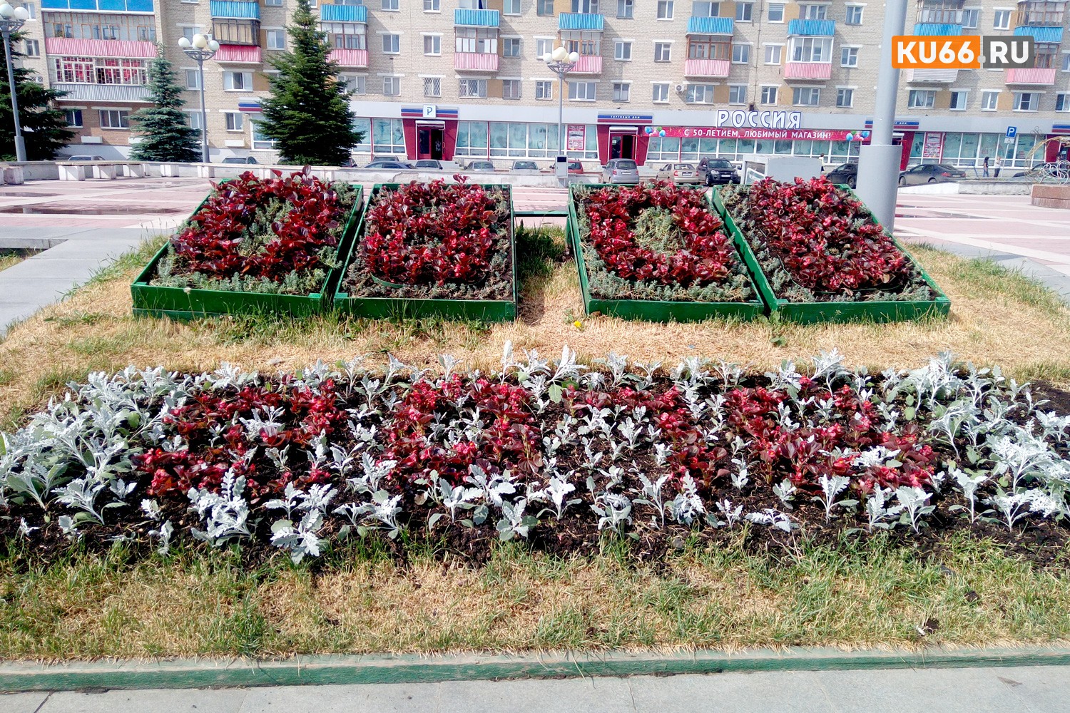 Каменск-Уральский этим летом украсят 40 тыс. цветов. В чем новшество сезона и где, по уверению власти, самое красивое место для созерцания?