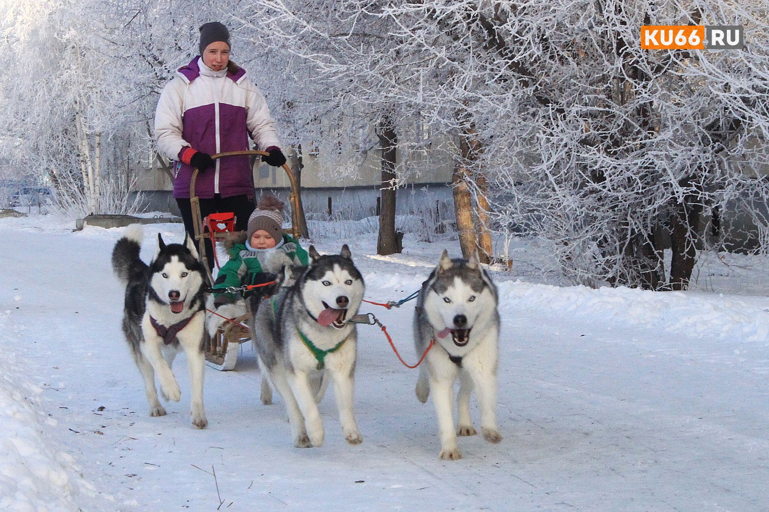 Каменские библиотекари устроили праздник для детей с ограниченными возможностями: малышей встретили Дед Мороз, Снегурочка и веселые хаски! Каменские библиотекари устроили праздник для детей с ограниченными возможностями: малышей встретили Дед Мороз, Снегурочка и веселые хаски!