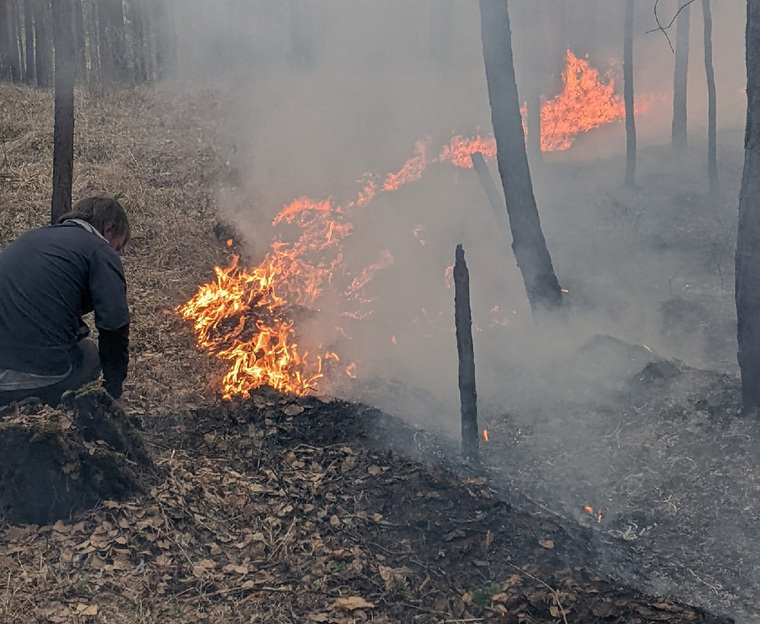 В Каменске-Уральском двое подростков потушили горящий лес. «Ехали мимо на велосипедах»