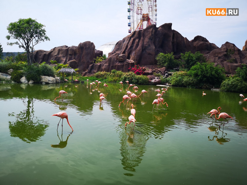 Южная Корея отменила визы для россиян