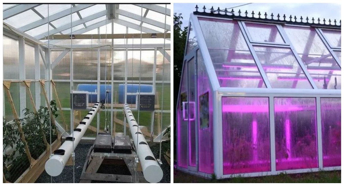 Ручной полив — пережиток прошлого: умная теплица сама знает, когда полить и проветрить