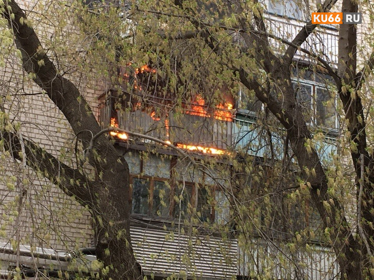 В Каменске-Уральском в доме по ул. Мичурина загорелся балкон. «Кто-то сверху бросил окурок, а в квартире живет бабушка...»