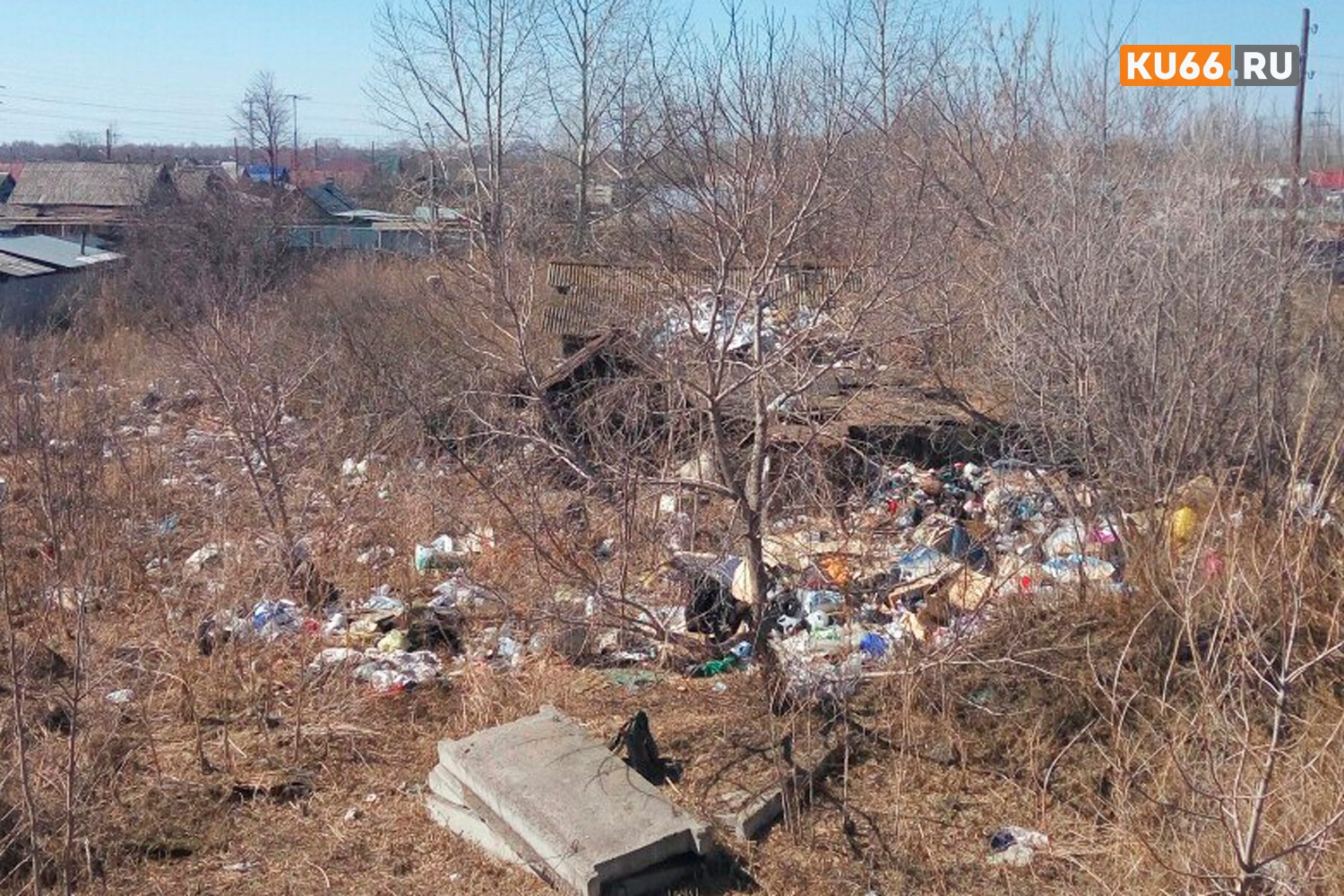 «Таскает мусор, водит бомжей и разводит собак». Жительница Каменска-Уральского пожаловалась на соседку, устроившую свалку под ее окнами