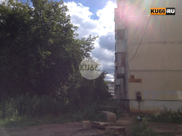 Камешек «в огород» УК «ДЕЗ»: пока коммунальщики хвалятся заслугами, совсем забыли, что не навели порядок в одном из дворов Каменска