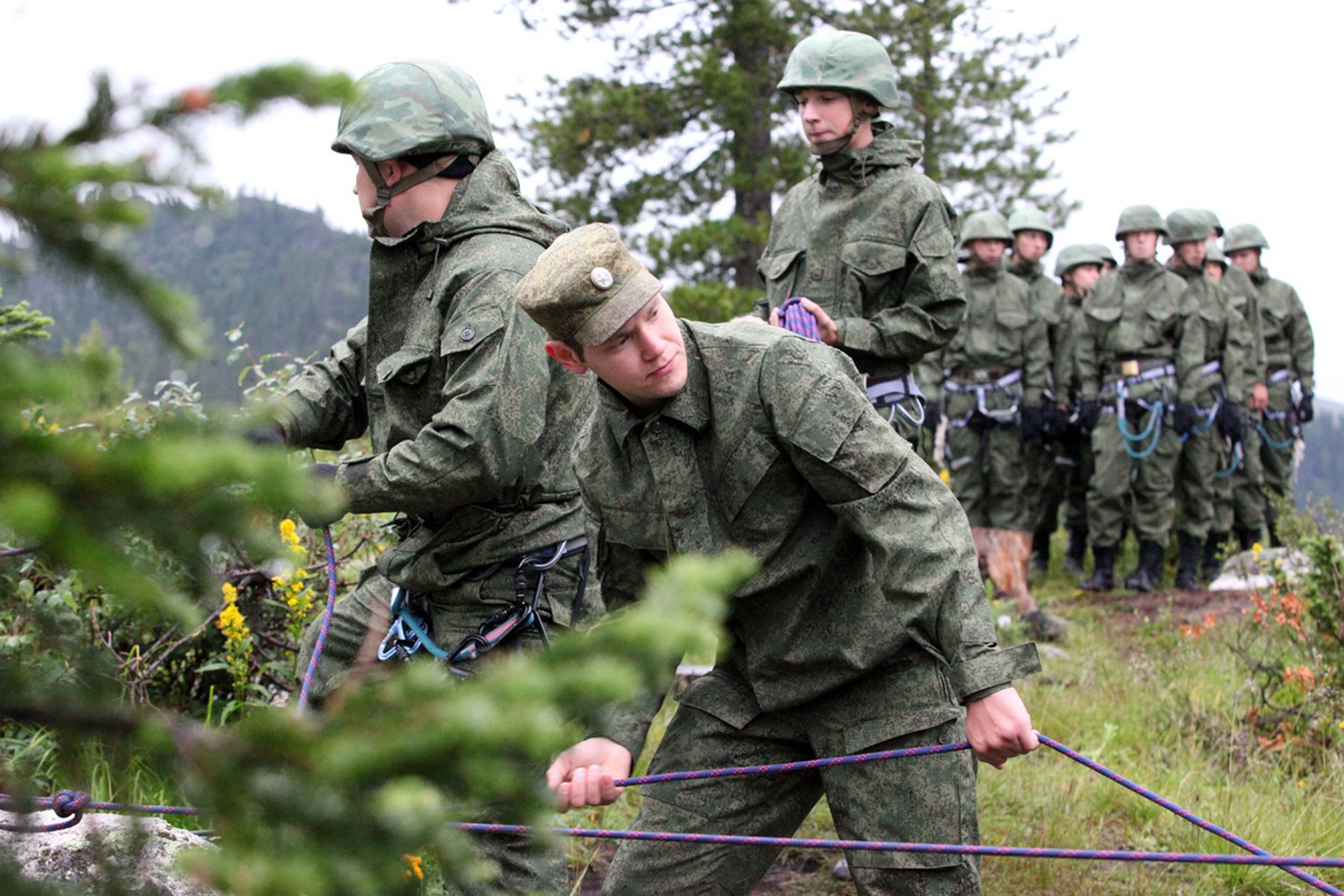 Матвиенко поручила выработать общую систему выплат мобилизованным