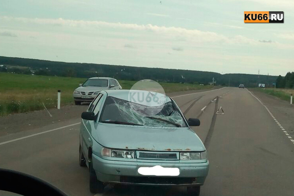 Семидесятилетнего велосипедиста сбил водитель ВАЗа на трассе у села Новоисетское под Каменском-Уральским — дед с переломами в больнице