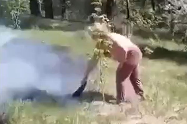 Они почти справились! Накануне в Каменске-Уральском неравнодушные женщины кинулись тушить лесной пожар. ВИДЕО