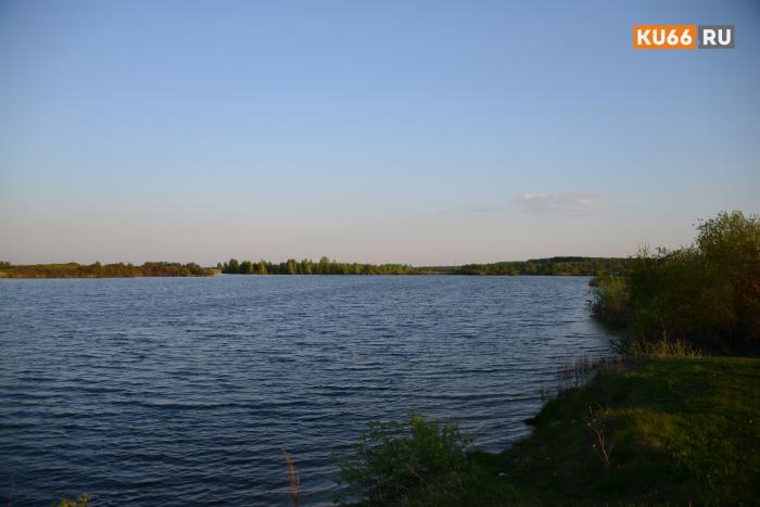 Что делать, если вы заболели после купания в официально разрешённом месте — объясняет адвокат | Адвокат Жаров: за загрязнение воды на пляже можно подать жалобу
