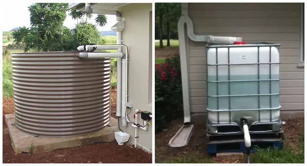 Вода из бочки — прошлый век: показываю систему сбора дождевой воды с крыши теплицы для бесплатного полива