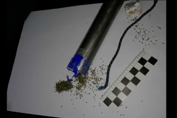 ФСБ задержала 13 человек, готовивших атаки на учебные заведения