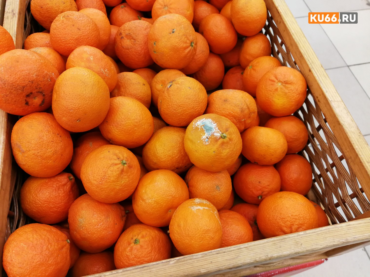 Где в России купить дешевые и качественные продукты