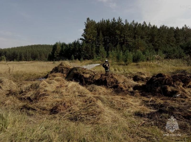 Большая куча сена сгорела под Каменском-Уральским: пожар тушили час | Под Каменском-Уральским сгорела большая куча сена