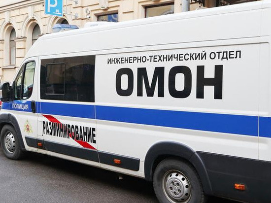 Школьница из псковской деревни заминировала более 440 «Пятерочек» в Санкт-Петербурге