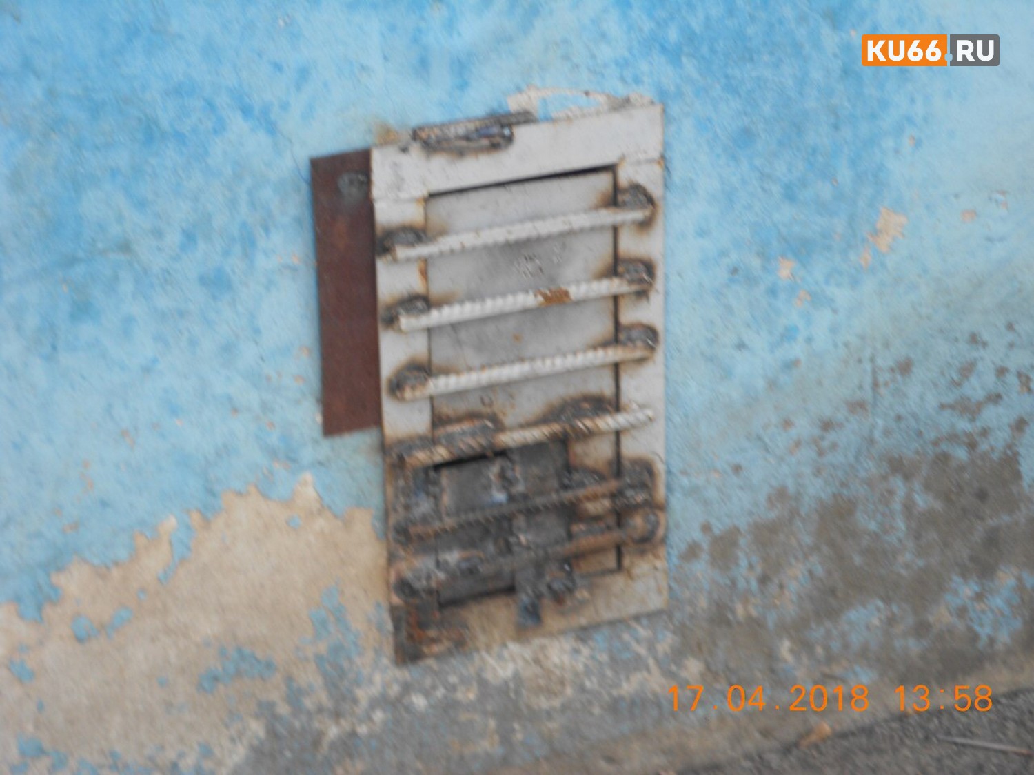 В Каменске-Уральском житель одного из домов ведет «войну» с соседями и бездомными кошками – последних замуровывает в подвале...