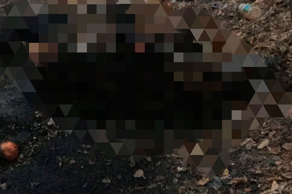 В лесополосе по ул. Железнодорожной в Каменске-Уральском прохожий обнаружил обгоревшее тело — находку направили на судмедэкспертизу