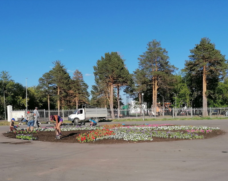 Клумба с 2000 корней петуний и цинерарий появилась на площади перед «Каменск-Ареной». Чтобы не своровали, нацелили на нее видеокамеры