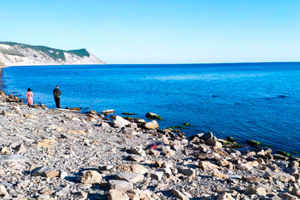 Жители Анапы приготовили на побережье шашлык из дельфина, полиция организовала проверку