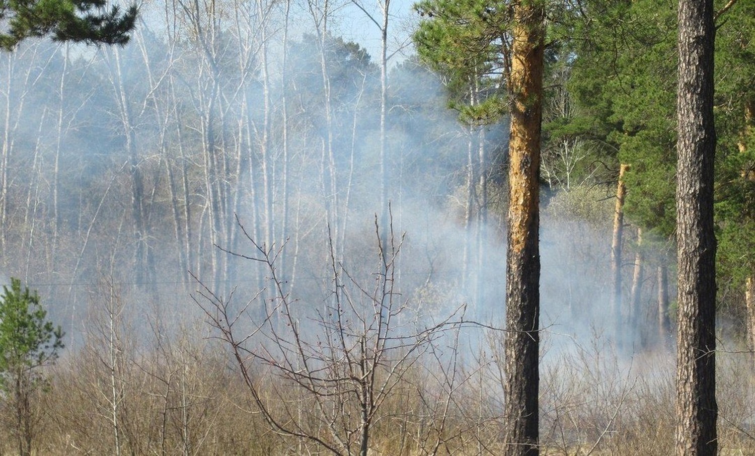 Добровольцы и специалист УГХ провели рейды по лесам Каменска: «грозили пальцем» рыбакам и отдыхающим. Говорят, поймали двух поджигателей