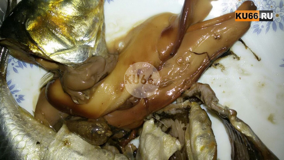 «Жуткий запах, а внутри черви…» Житель Каменска-Уральского приобрел в супермаркете тухлую сельдь, фаршированную паразитами. ФОТО