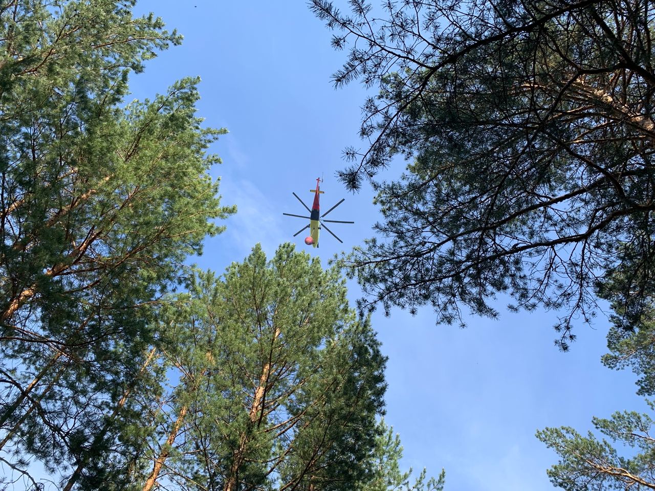 Уралец погиб, защищая деревню от природного пожара