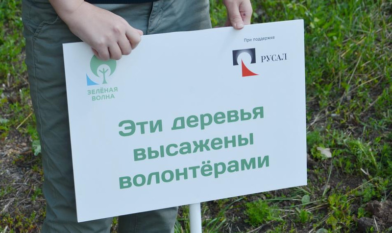 Вас зовут приобщиться к озеленению Каменска-Уральского: в среду на деньги гранта у СКЦ посадят несколько елей и барбарисов