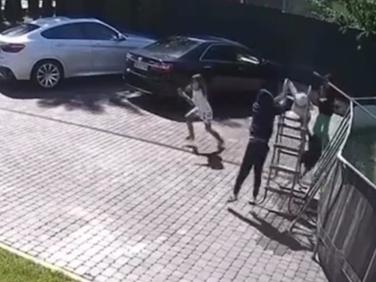 В Подмосковье обезьяна растерзала двухлетнего ребенка. Мнение ветеринара