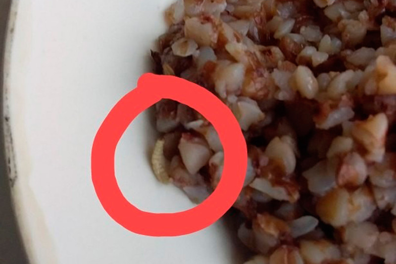 Дети в школьной столовой в Каменске-Уральском будто бы нашли червяка в гречке. Интернет-пользователи не очень-то и верят...