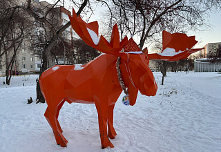 Невзлюбили лося: жителей Каменска-Уральского терроризируют лающие собаки | Лающие собаки не дают покоя жителям Каменска-Уральского