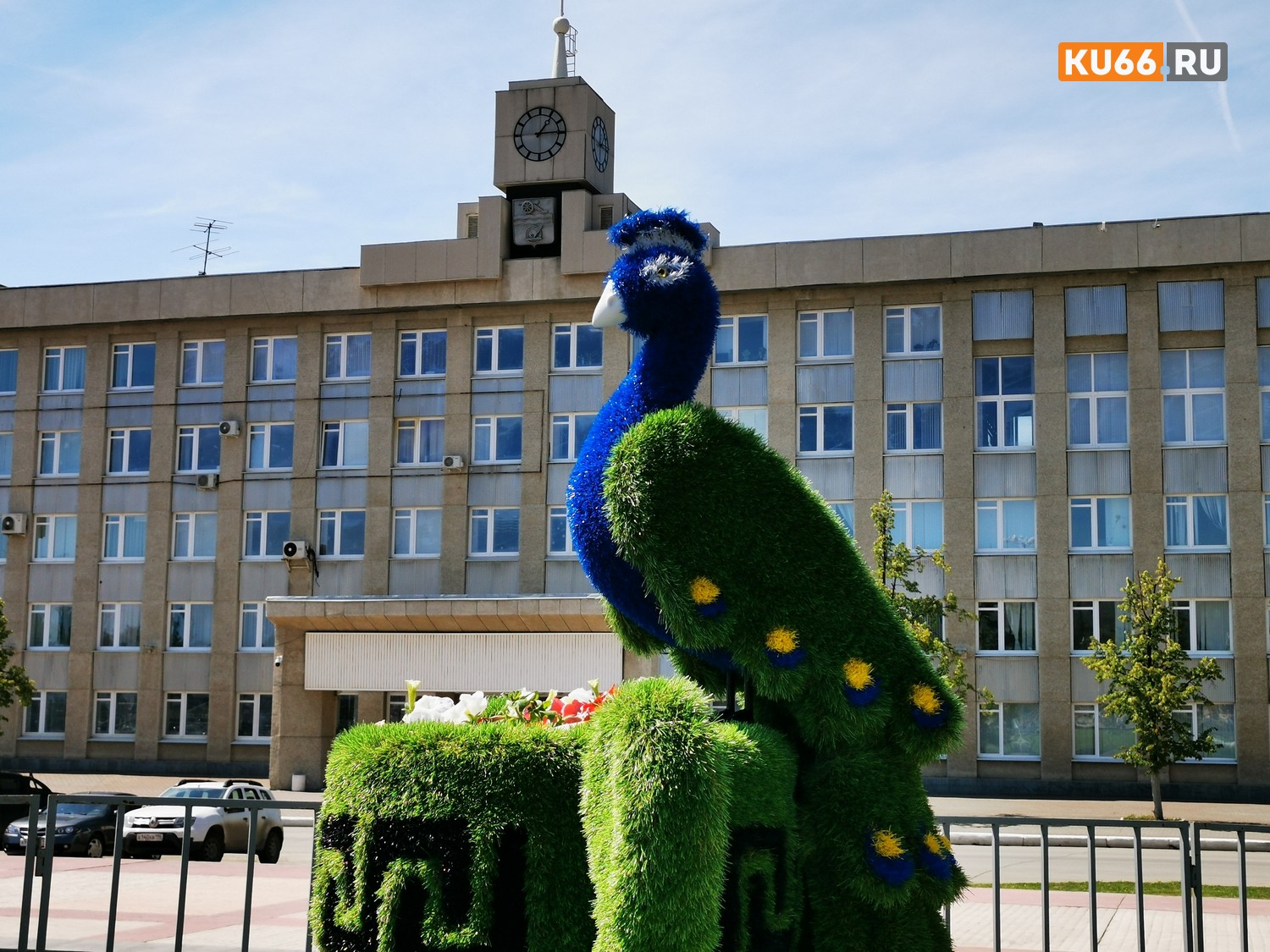 Арт-объект, который невольно притягивает взгляды, появился в центре Каменска-Уральского к Дню города: это павлин, хвост которого — цветы Арт-объект, который невольно притягивает взгляды, появился в центре Каменска-Уральского к Дню города: это павлин, хвост которого — цветы