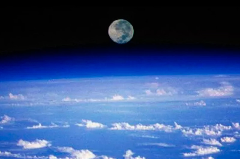 Ученые выяснили причины одного из самых массовых вымираний жизни