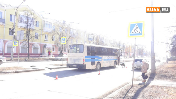 Подробности столкновения автобуса с самокатом на переходе в Каменске-Уральском: мальчика с ушибами и ссадинами увезли в хирургию. ФОТО