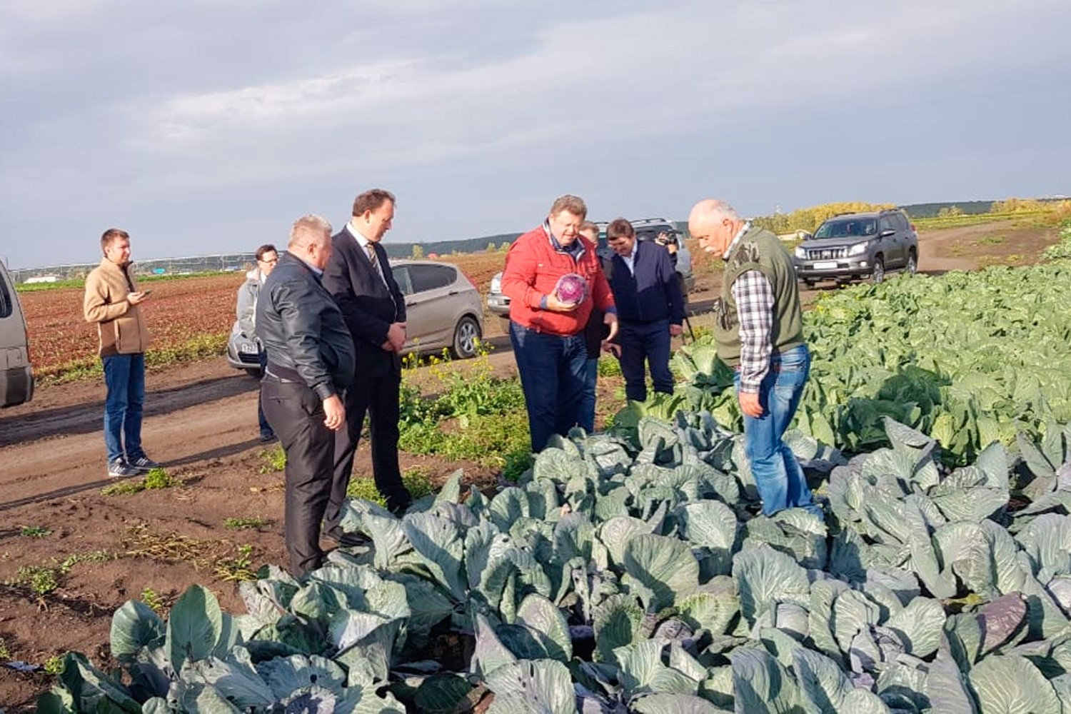 Агроном и механизаторы оценили: топ-менеджеры предприятий Каменска-Уральского очередное заседание совета директором провели... в поле