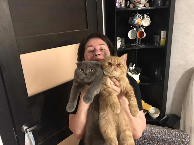 В Петербурге депутата вызвали в прокуратуру из-за фотографии с котиками