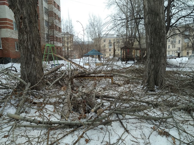 Жители Каменска-Уральского жалуются на опасные тополя