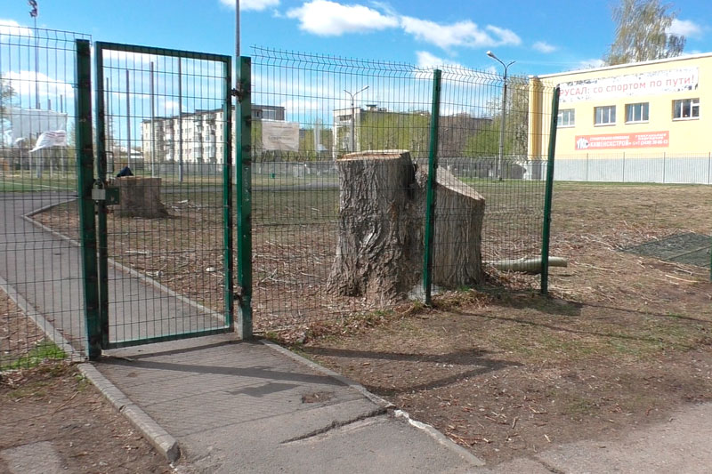 Как полицейские наказывают тех каменцев, кто продолжает отдыхать и гулять по улицам, несмотря на режим самоизоляции. Как штрафуют?