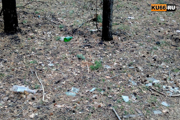 Жители поселка в Каменске-Уральском бьют тревогу: ближайший к ним лес превратился в помойку. Просят помощи от власти... ВИДЕО, ФОТО