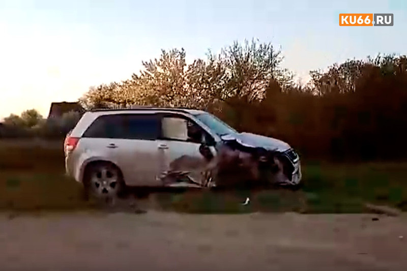 На трассе под Каменском-Уральским водитель отечественной легковушки не справился с управлением и столкнулся на встречке с Suzuki