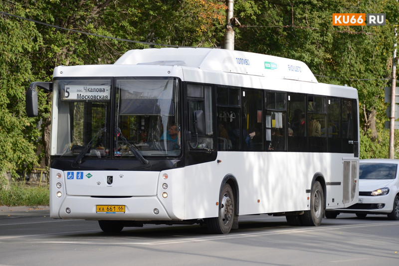 Очередной виток недовольства работой общественного транспорта в Каменске-Уральском: «Автобусы ждем по часу. Терпение на исходе». ОПРОС