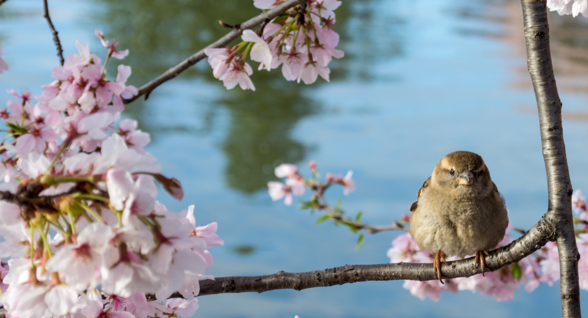 "Еще 6 недель": синоптики рассказали, когда в Россию придет настоящая весна