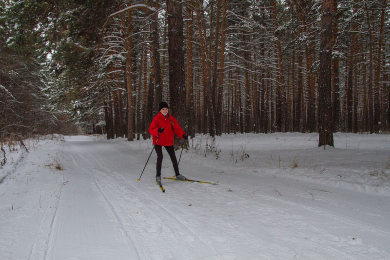 «Желающих покататься будет много». Как депутат добился, чтобы в лесопарке в поселке трубников в Каменске-Уральском появилась лыжня в 1,5 км