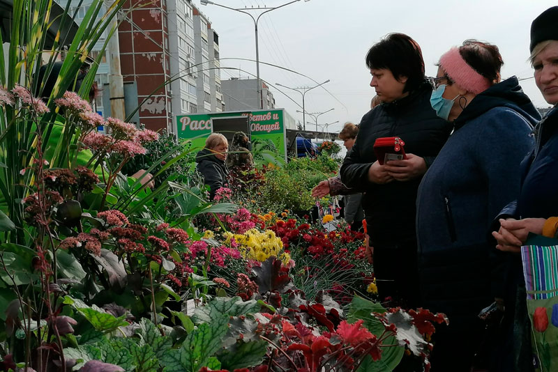 «Давно не видела таких очередей». На выставке «Дары осени» жители Каменска-Уральского первым делом смели с прилавков картошку и лук!