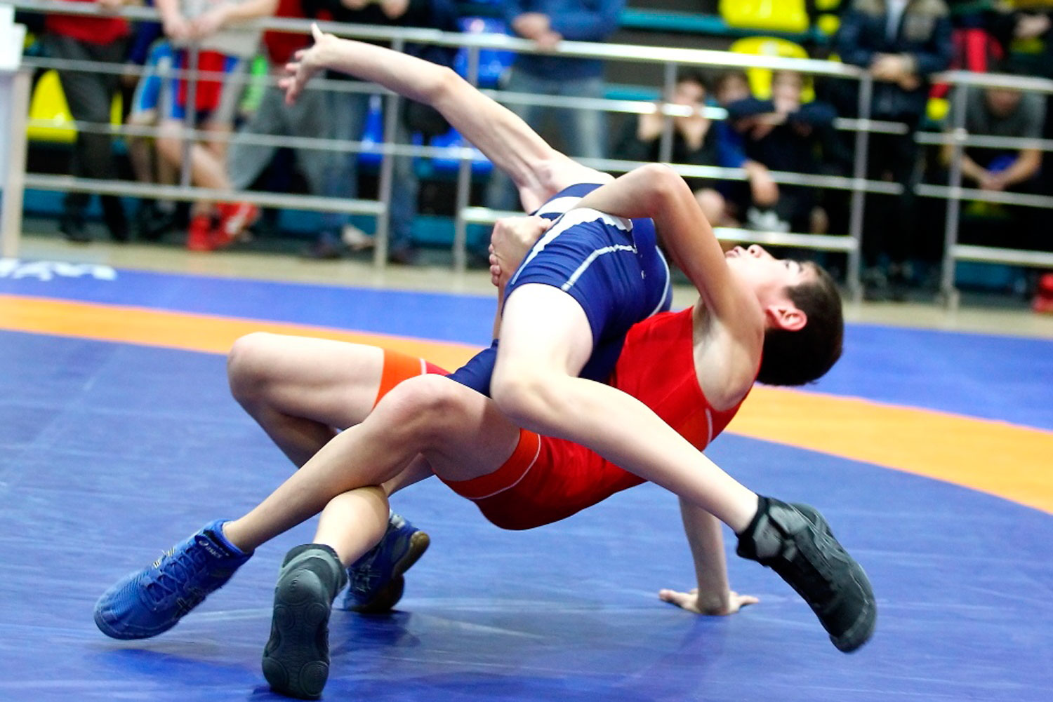 Каменцы достойно выступили на фестивале Южного округа и готовятся ко Дню физкультурника. Говорят, к спорту в городе причастен каждый второй