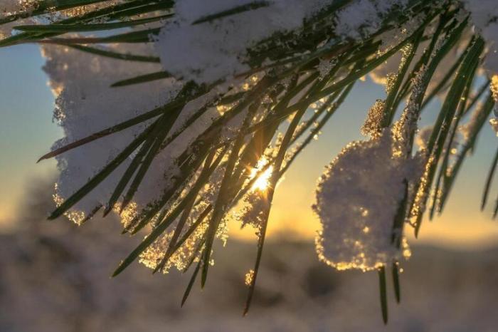 Бьет температурные рекорды: уральская зима 2024-2025 стала одной из самых теплых за 25 лет | Зима 2024-2025 в Свердловской области стала одной из самых теплых за 25 лет